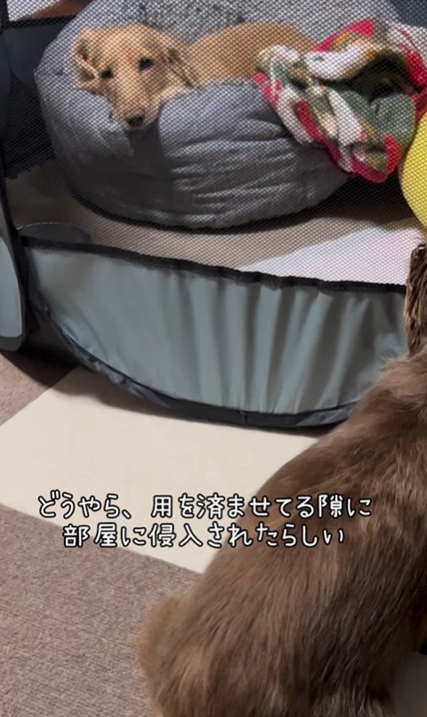 ライフちゃんとジョンさん