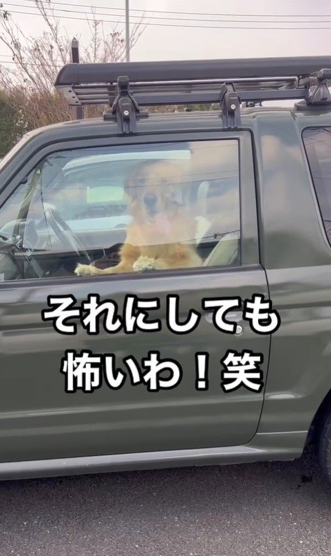 寂しがり屋すぎるトノくん8