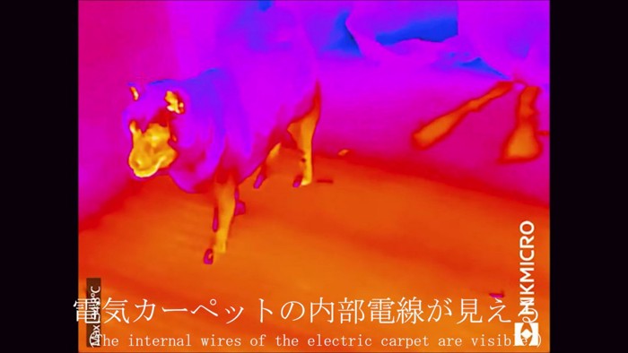 口と脚は電熱線並み