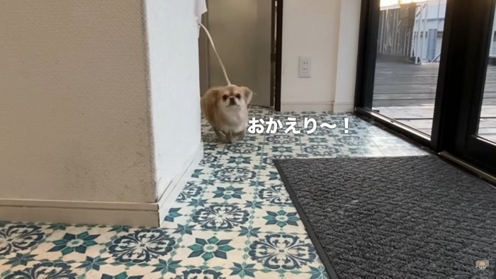 再会に喜ぶハナちゃん