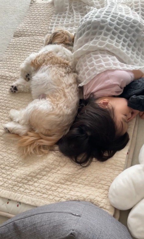 コロくんとチチちゃんと女の子の日常