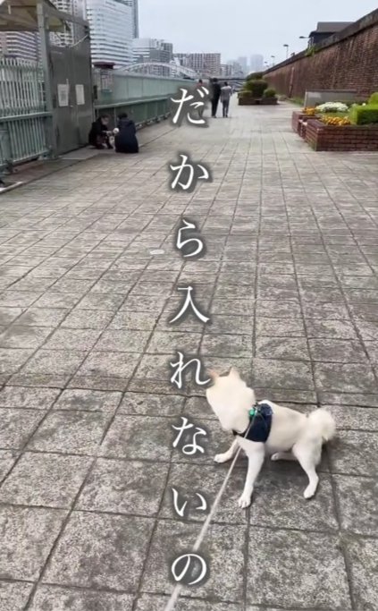 どうしても