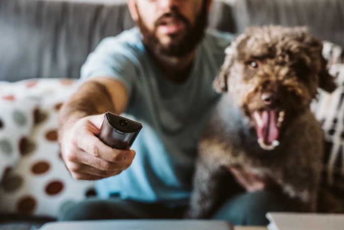 テレビのリモコンを向ける男性と横にいる犬