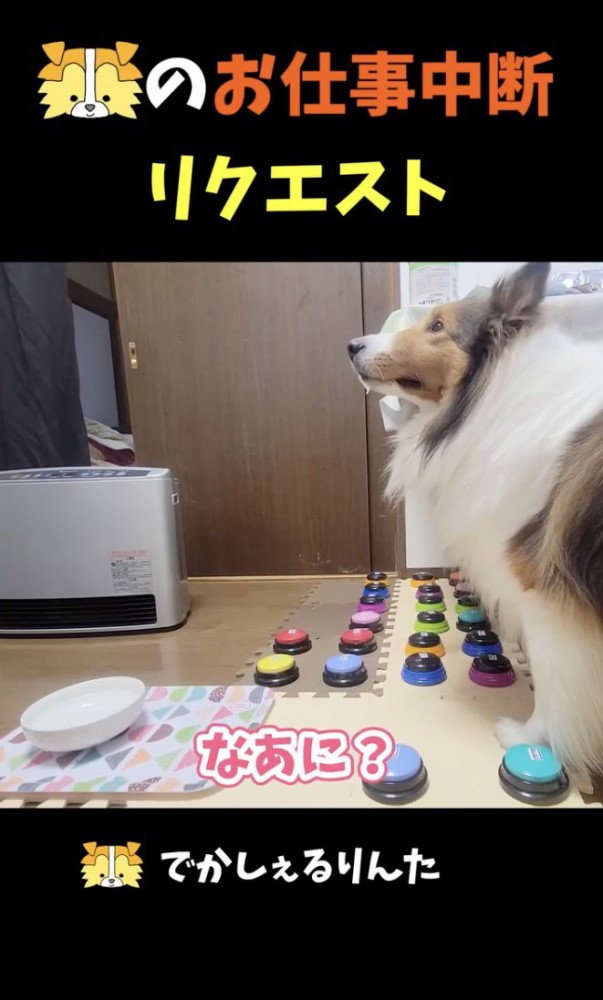 なぁに？