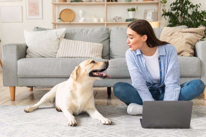 仕事をしながら見つめ合う女性と犬