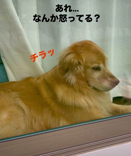 「なんか怒ってる?」