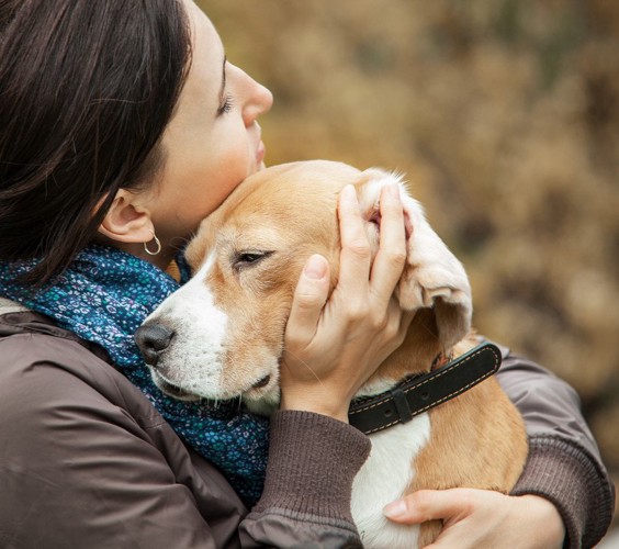 飼い主さんと抱き合う犬