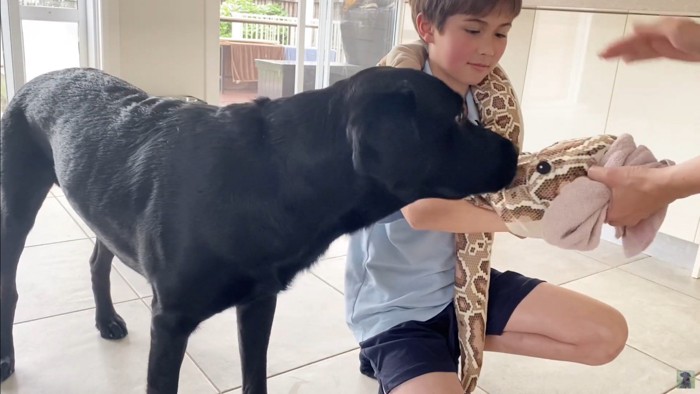 怒られる人形を見たえんぞう君の反応4