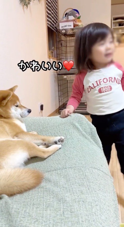 笑顔で母親の方をふり返る女の子