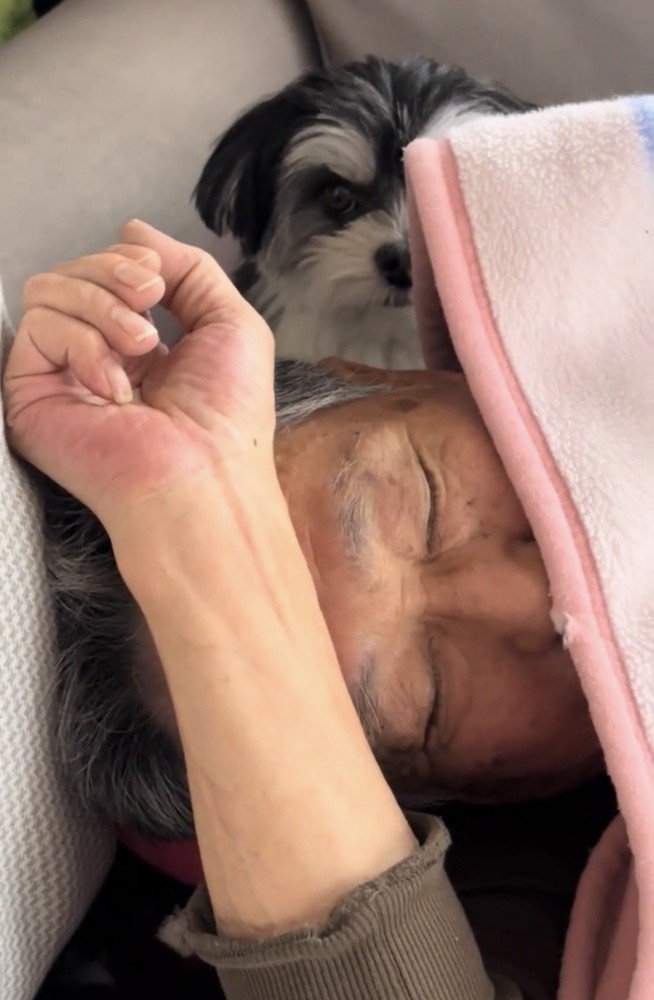 眠る人を見守る犬