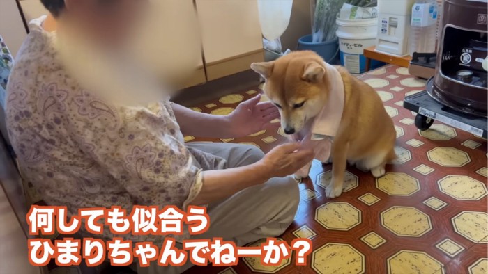 犬を褒めるおばあちゃん