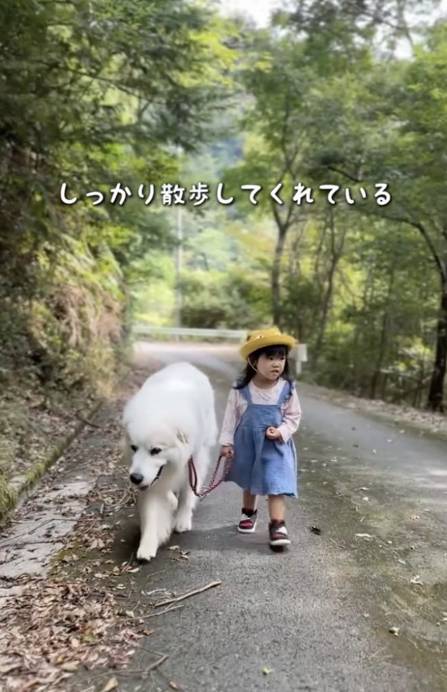 足取りしっかり