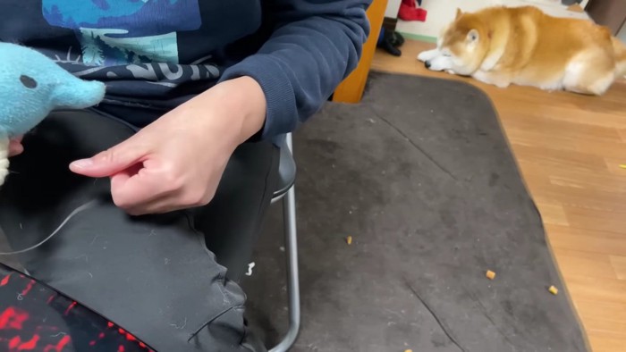 「まだかな…？」