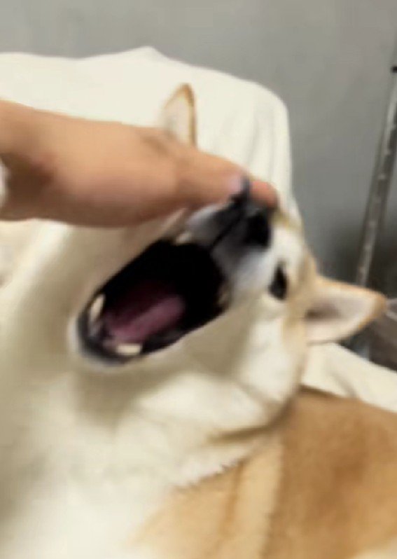 もう大丈夫だよ！！