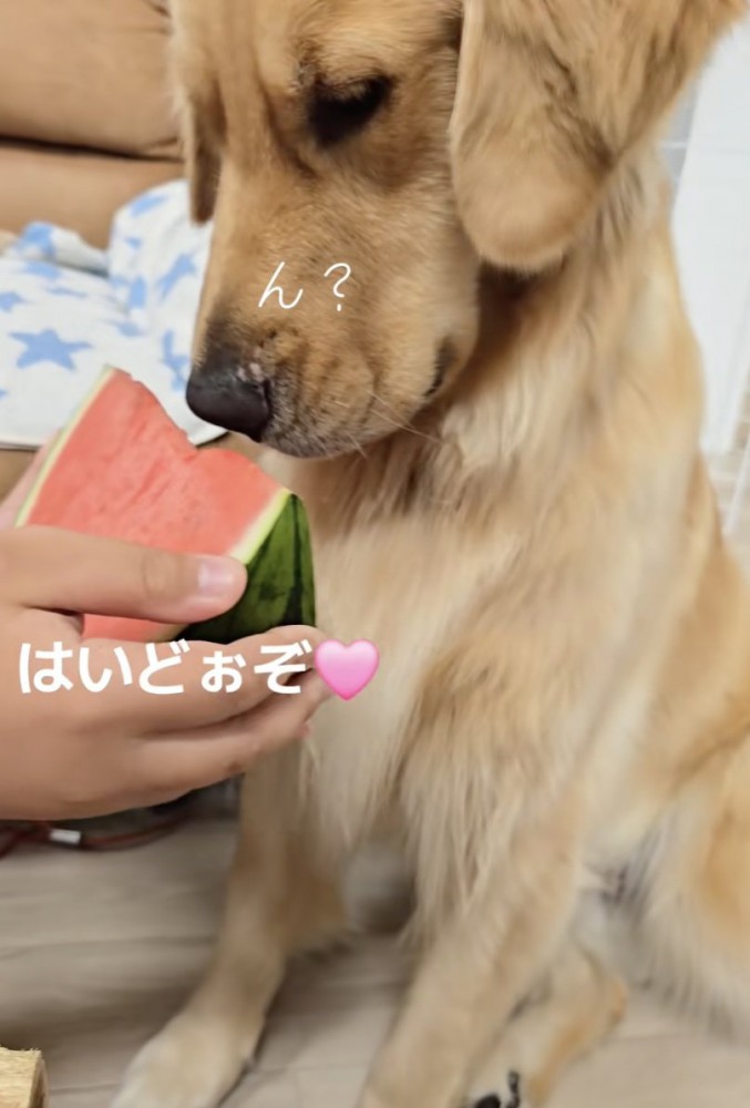 「どうするんだっけ!?」