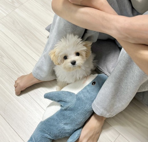 ママに叱られた