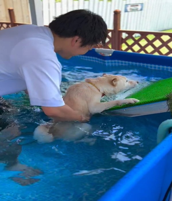 飼い主と犬