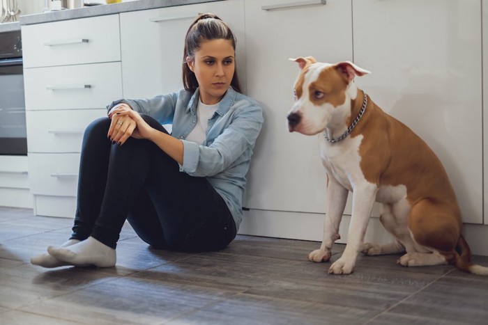 距離感をとって座る女性と犬