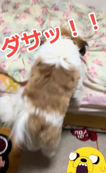 ジャンプする太郎くん
