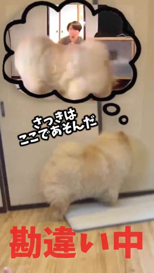 隣の扉部屋の扉を見つめる犬