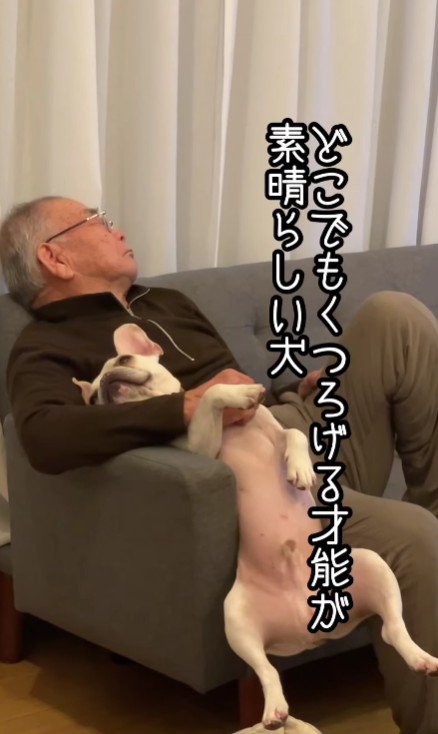 落ちそうで落ちないブン太くん