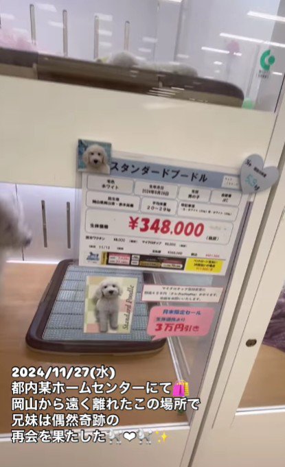 出身地も誕生日も同じ！！