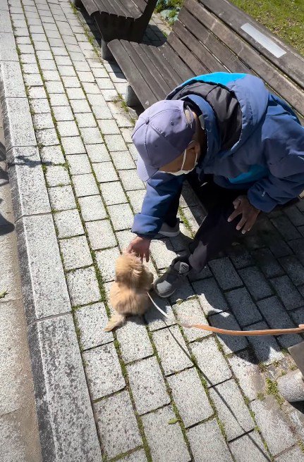 迷うことなく一直線