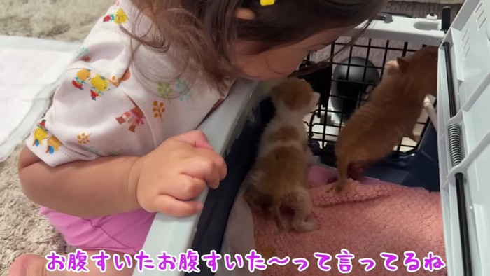 気になって仕方ない…