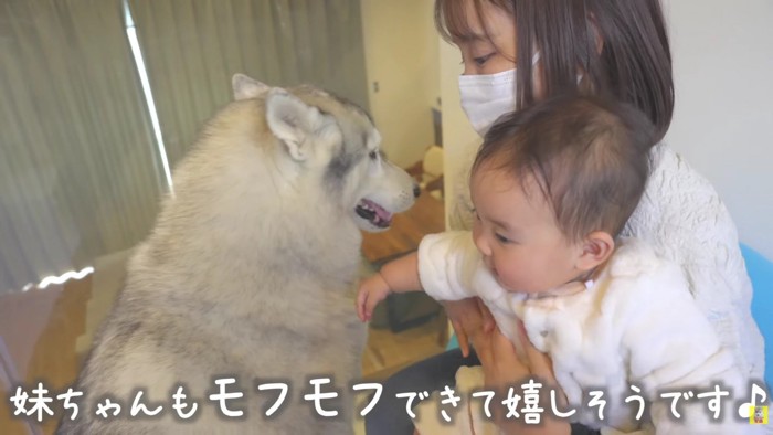 赤ちゃんも懐いています♡
