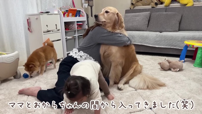 「よいしょ、よいしょ…」