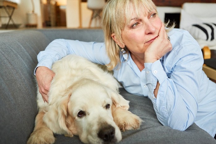 犬と女性