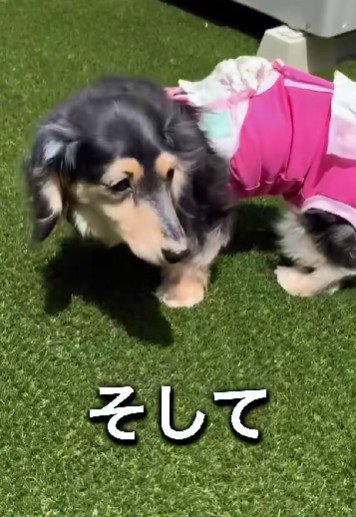 自力で排泄できるように！