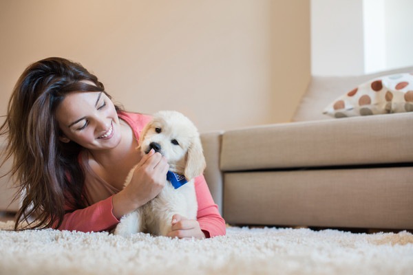 飼い主と犬