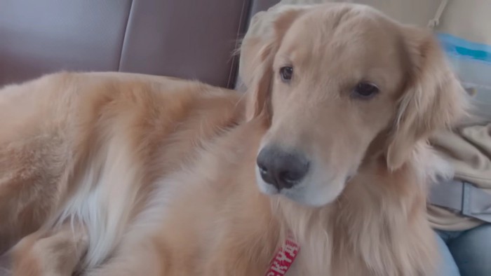帰りの車内でも…