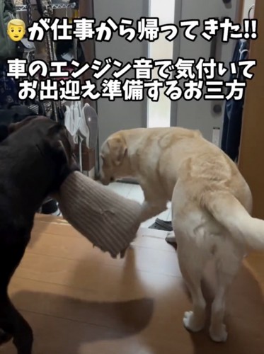 パパのお出迎え準備中