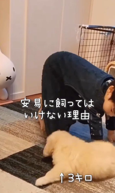 エルくんと男の子3