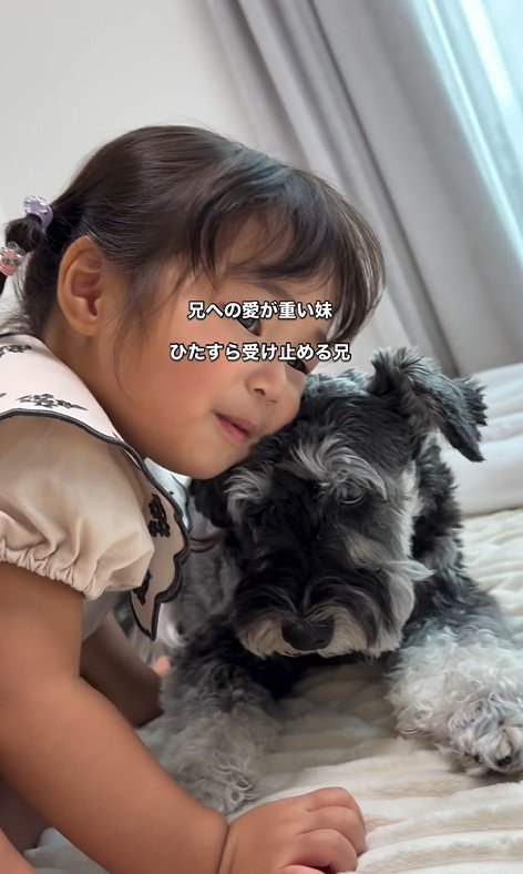 こたろう君を撫でる女の子3