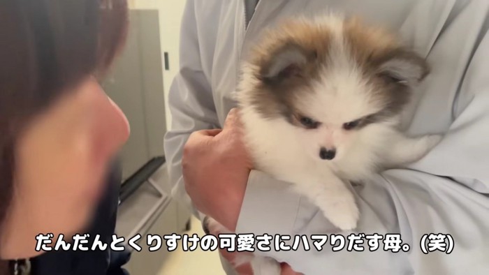 子犬もカワイイけど…