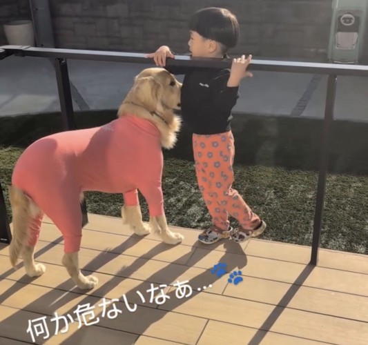 ウッドデッキで並んで立つ男の子と犬