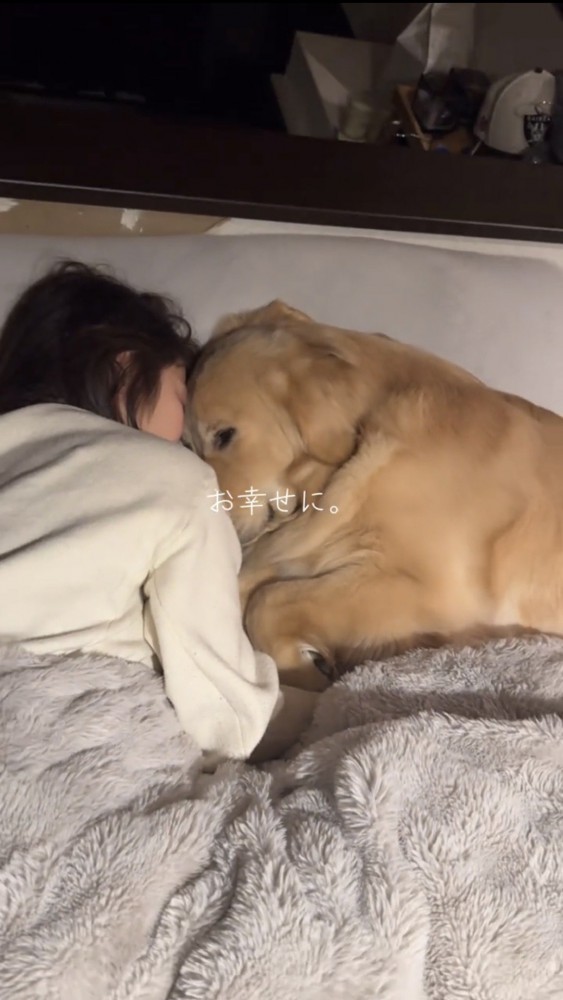 微動だにせず寝るポジションをキープする犬