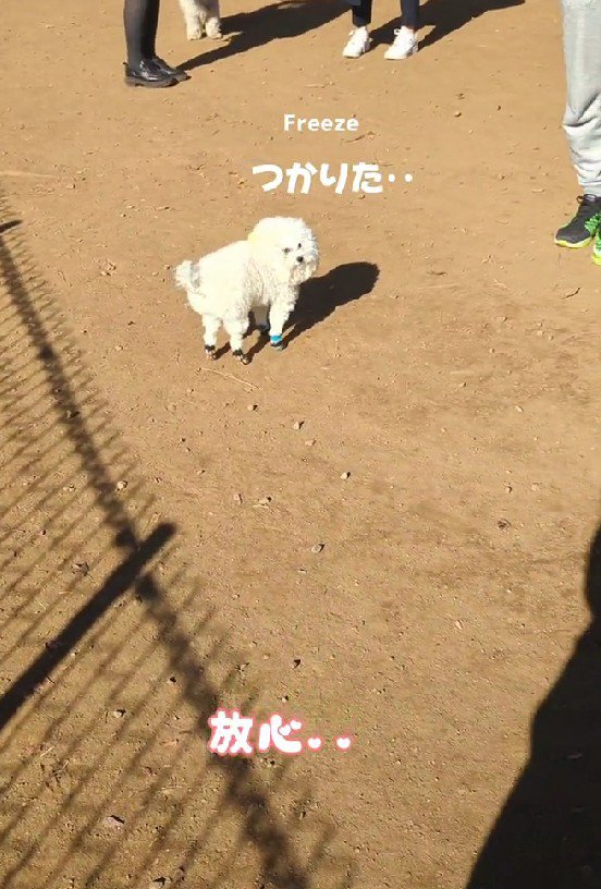 「疲れた…」