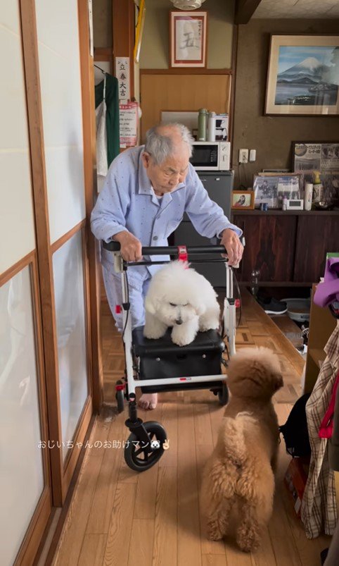 こたちゃん＆くむちゃんと祖父母の思い出9