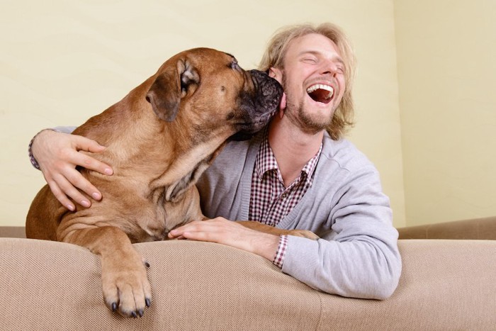 大型犬に舐められて笑顔になる男性