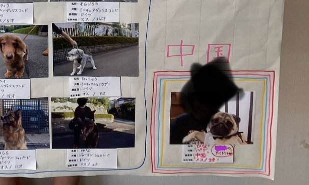 虹色に囲われる