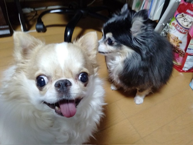仲良し