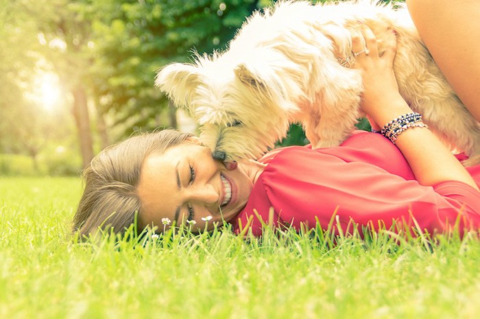 芝生に横になった飼い主の口元をなめる犬