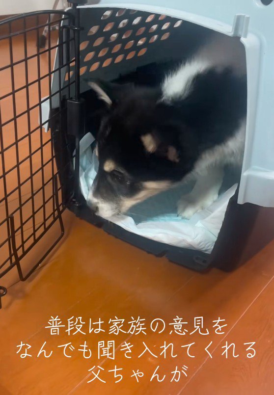 普段は優しいお父さんが…