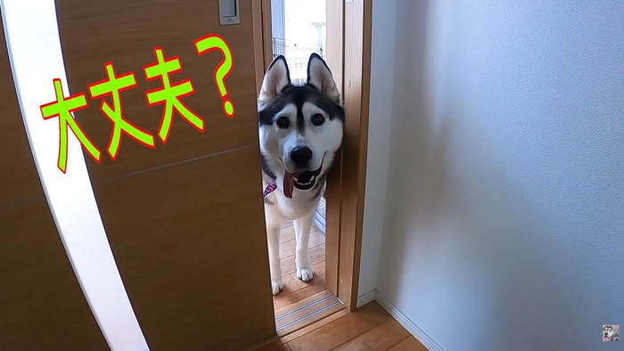 心配してくれています