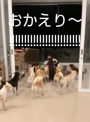 お父さん転倒