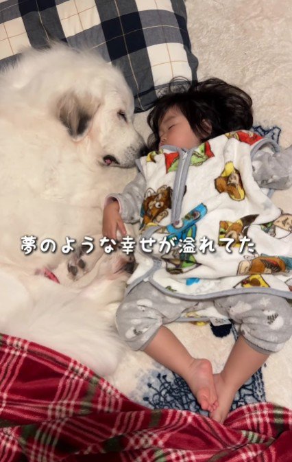 微笑ましい光景にホッコリ